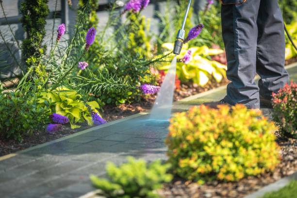 Best Gutter Cleaning  in Howard, WI